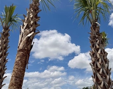 1483 Brekey Way - Photo Thumbnail 23