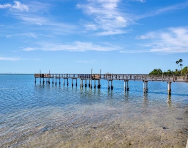 650 Pinellas Point Drive S - Photo Thumbnail 35