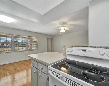 650 Pinellas Point Drive S - Photo Thumbnail 10