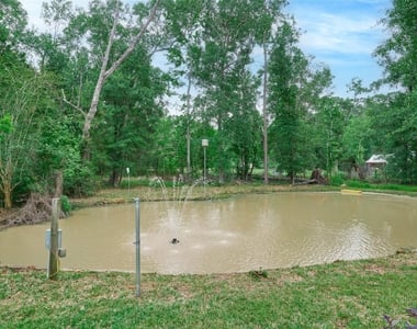 18233 Country Place Drive - Photo Thumbnail 25