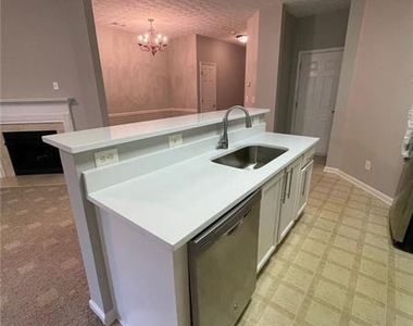 1028 Montague Place Court - Photo Thumbnail 10