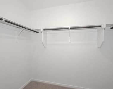 1419 Merlin Bluff Street - Photo Thumbnail 12