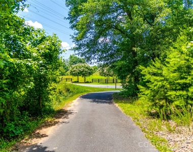 2316 Celandine Way - Photo Thumbnail 36