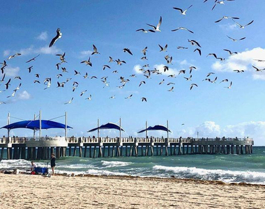 133 N Pompano Beach Boulevard - Photo Thumbnail 18