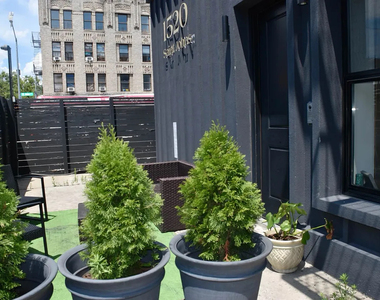 1520 St Johns Place - Photo Thumbnail 16