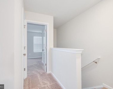 73 Cramsford Street - Photo Thumbnail 24
