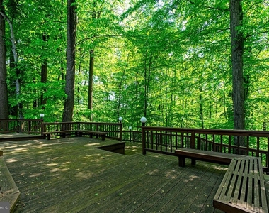 5229 Chippewa Place - Photo Thumbnail 63