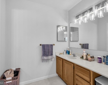 6861 Williamsburg Pond Court - Photo Thumbnail 18