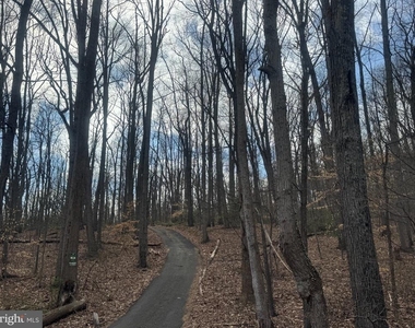 5138 Laurel Lane - Photo Thumbnail 6