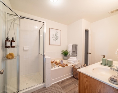 1211 Canyon Rock Court - Photo Thumbnail 15