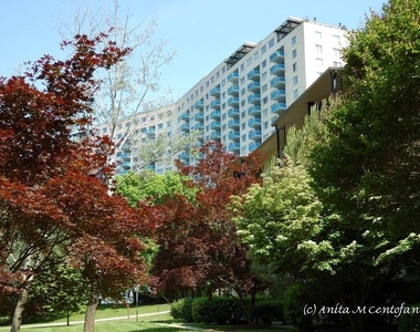 10201 Grosvenor Place - Photo Thumbnail 18
