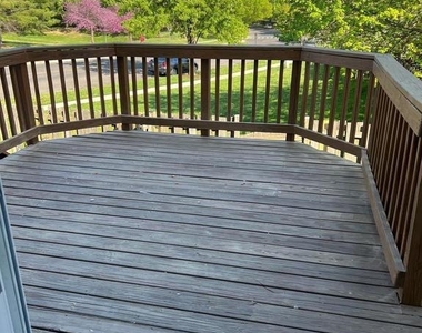 11702 Zebrawood Court - Photo Thumbnail 8
