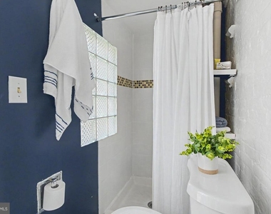 14 Poultney Street - Photo Thumbnail 25