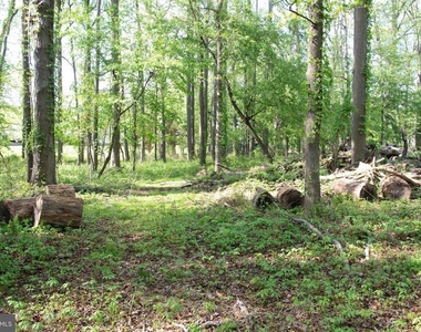 4785 Mountain Road - Photo Thumbnail 22