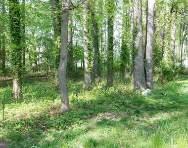 4785 Mountain Road - Photo Thumbnail 15