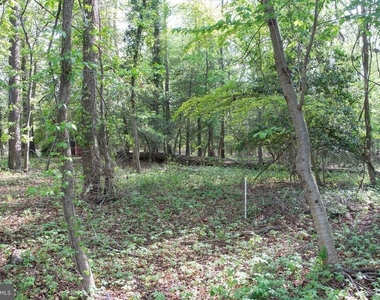 4785 Mountain Road - Photo Thumbnail 21