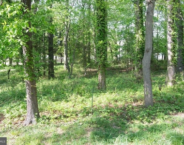 4785 Mountain Road - Photo Thumbnail 16