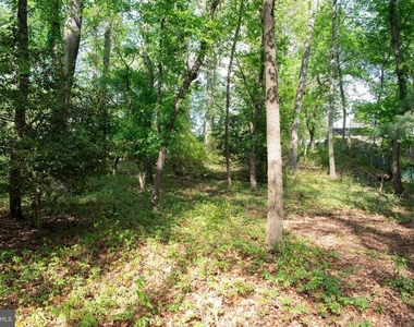 4785 Mountain Road - Photo Thumbnail 20