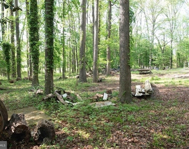 4785 Mountain Road - Photo Thumbnail 19
