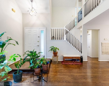 12 Chelsea Court - Photo Thumbnail 5