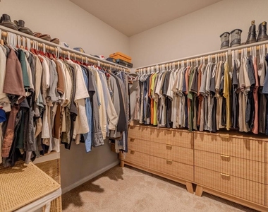 393 Apache Plum Dr - Photo Thumbnail 18