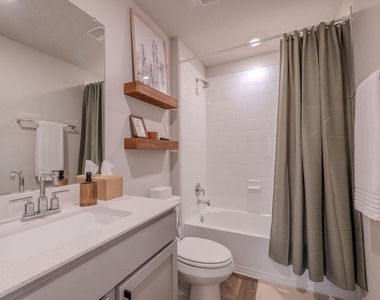 393 Apache Plum Dr - Photo Thumbnail 22