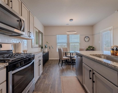 393 Apache Plum Dr - Photo Thumbnail 9