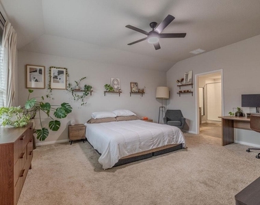 393 Apache Plum Dr - Photo Thumbnail 13