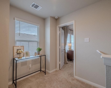 393 Apache Plum Dr - Photo Thumbnail 12