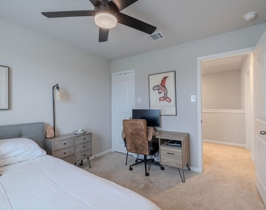 393 Apache Plum Dr - Photo Thumbnail 21