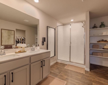 393 Apache Plum Dr - Photo Thumbnail 16