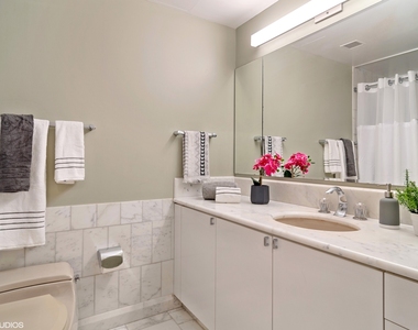 161 E Chicago Avenue - Photo Thumbnail 7