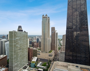 161 E Chicago Avenue - Photo Thumbnail 9