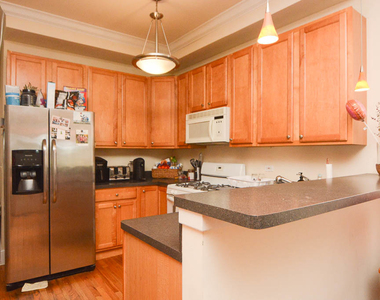 1314 W Roscoe Street - Photo Thumbnail 2