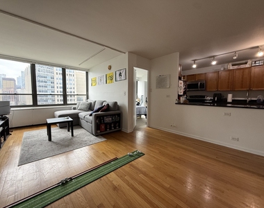 222 E Pearson Street - Photo Thumbnail 2