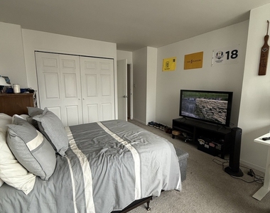 222 E Pearson Street - Photo Thumbnail 9