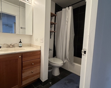 222 E Pearson Street - Photo Thumbnail 8