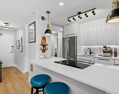 1355 N Sandburg Terrace - Photo Thumbnail 12