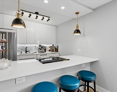 1355 N Sandburg Terrace - Photo Thumbnail 11