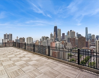 1355 N Sandburg Terrace - Photo Thumbnail 18