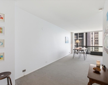 900 N Lake Shore Drive - Photo Thumbnail 4