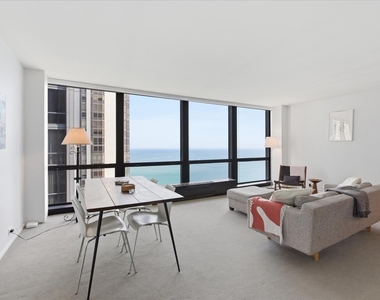 900 N Lake Shore Drive - Photo Thumbnail 5