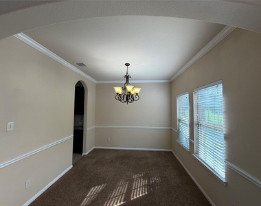 19419 Bronte Springs Court - Photo Thumbnail 2