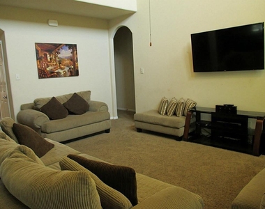 19419 Bronte Springs Court - Photo Thumbnail 1