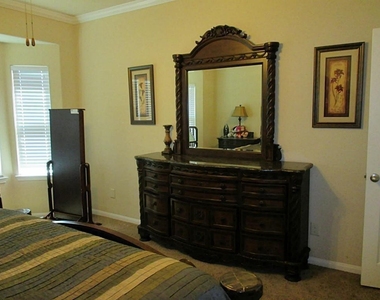 19419 Bronte Springs Court - Photo Thumbnail 7