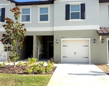 32010 Spiceberry Street - Photo Thumbnail 1
