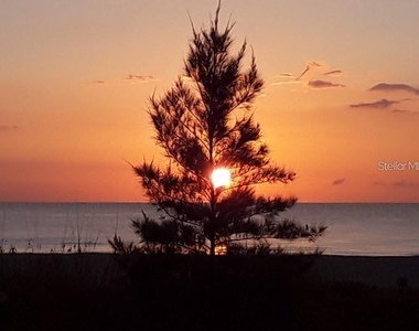 1480 Gulf Boulevard - Photo Thumbnail 21