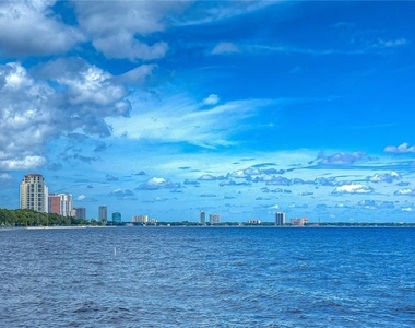 4907 Bayshore Boulevard - Photo Thumbnail 2
