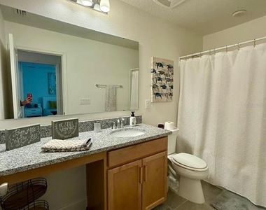 16522 Brook Isle Way - Photo Thumbnail 20