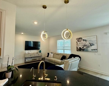 16522 Brook Isle Way - Photo Thumbnail 4